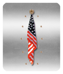 DF35-550-SL Flag at Rest Silver